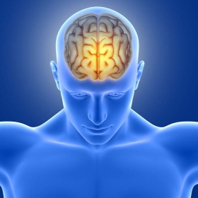 Động kinh thùy trán là gì? Nhận biết sớm, chẩn đoán và chữa trị